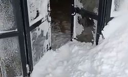 Van'da 6 ayrı noktaya çığ düştü