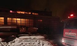 Erciş'te marangozlar sitesinde yangın