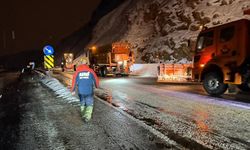 Gevaş'a çığ düştü!