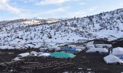 Yoğun kar yağışı göçerleri sevindirdi