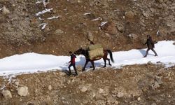 Van'da uzmanından yaban hayvanları için önemli uyarı