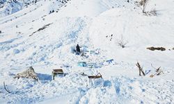 32 arı kovanı çığ altında kaldı