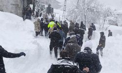 Van'da çığ altında kalan kadın yaşamını yitirdi