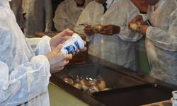 23 bin 227 okul kantini denetlendi