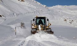 Van’da kapalı yollar ulaşıma açıldı