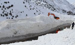 Van’da yolu kapalı 22 yerleşim yeri kaldı