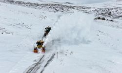 Van’da kar yağışı yolları yeniden kapattı