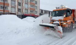 Yüksekova'da kar kalınlığı yarım metreyi geçti