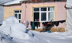 Van'da kar altında zorlu yaşam
