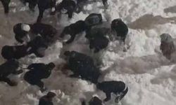 Çatıdan düşen kar kütlesinin altında kalan öğrenci yaralandı