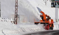 Van ve Bitlis'te kardan kapanan 283 yerleşim yeri, ulaşıma açıldı