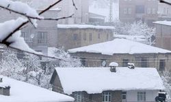 Hakkari'de 160 yerleşim yolu ulaşıma kapandı