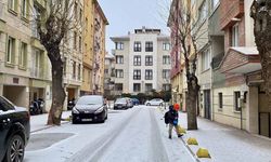 Doğuda kar yağışı ve soğuk hava etkili oluyor