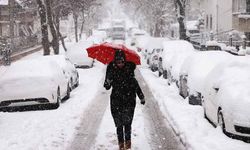 Meteorolojiden Van için uyarılar