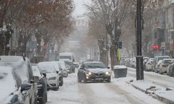 Van’da kar yağışı devam edecek! İşte meteorolojik tahminler…