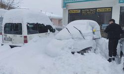 Erciş’te yoğun kar yağışı hayatı felç etti