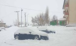 Başkale'de kar yağışı