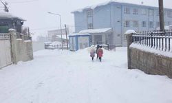 Başkale'de 19 yerleşim yerinin yolu ulaşıma kapandı