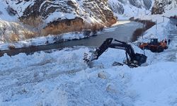 Çığ nedeniyle kapanan Hakkari-Van kara yolu açıldı