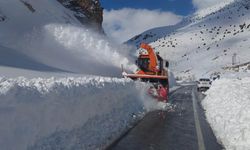 Karayolları ekipleri Çatak yolunu 5 günde kısmen açabildi