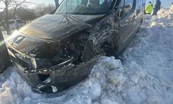 Erçiş'te trafik kazasında 2 kişi yaralandı