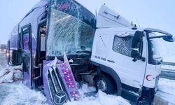 Yolcu otobüsünün kargo kamyonuna çarptığı kazada 9 kişi yaralandı