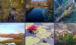 Türkiye son 55 yılın en sıcak 8. sonbaharını yaşadı