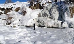 Muradiye Şelalesi, soğukların etkisiyle buz tuttu