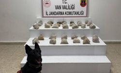 Van'da büyük operasyon!