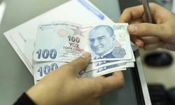 Engelli ve eski hükümlü hibe destekleri artırıldı