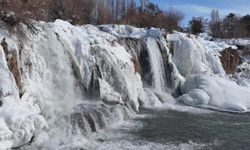 Muradiye Şelalesi buz tuttu