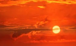 Dünyanın en sıcak yılları son 11 yılda yaşandı