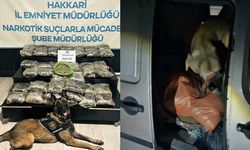 Yüksekova’da 30 kilo Skunk ele geçirildi