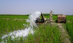 Van’da su azalıyor tarımsal üretim tehlikeye giriyor!