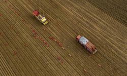 TÜİK, Tarım ÜFE verilerini açıkladı