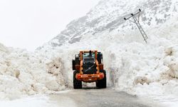 Van-Çatak yolu kontrollü olarak ulaşıma açıldı
