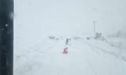 Van-Çatak kara yolu, çığ riski nedeniyle kapatıldı