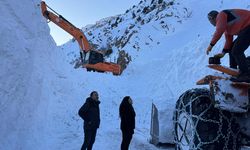 Van-Çatak kara yolu 4 gündür ulaşıma kapalı