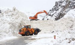Van'da eğimli alanlar çığ riskini artırıyor