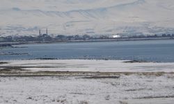 Uzmanlardan Van Gölü Havzası için uyarı