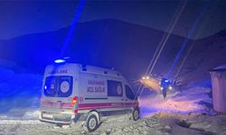 Van'da yolu çığ nedeniyle kapanan mahalledeki 2 hastayı, ekipler hastaneye ulaştırdı