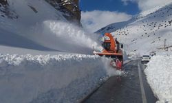 Van’da kapalı yollar açılıyor