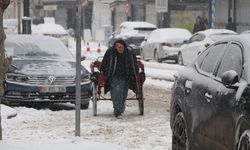 Van’da kar hayatı olumsuz etkiliyor