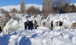 Muradiye Şelalesi buz tuttu