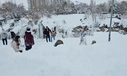 Muradiye Şelalesi’ne ziyaretçi akını