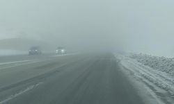 Van-Özalp kara yolunda sis görüş mesafesini düşürdü