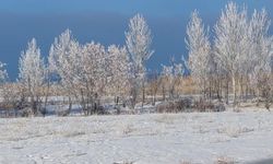 Van'da Sibirya soğukları hayatı olumsuz etkiliyor