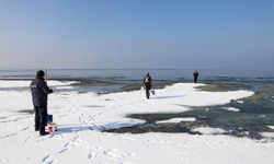 Van'da yaban hayvanları için doğaya yem bırakıldı