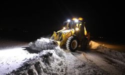 Van'da 156 yerleşim yerinin yolu açılmayı bekliyor