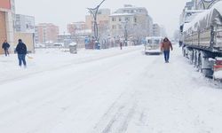 Van’da kar yağışı etkili oluyor